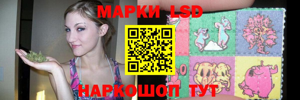 LSD-25 экстази ecstasy  LSD-25 экстази  Волгодонск  Вход с VPN  LSD-25 экстази кислота 
