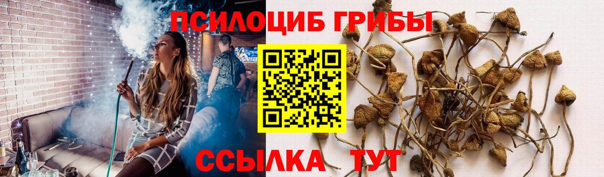 Псилоцибиновые грибы ЛСД Волгодонск